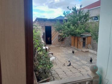 yeni guneslide kiraye evler 2024: Satlıq həyət evi - Tam mülkiyyətli birmərtəbəli fərdi yaşayış evi - — 17