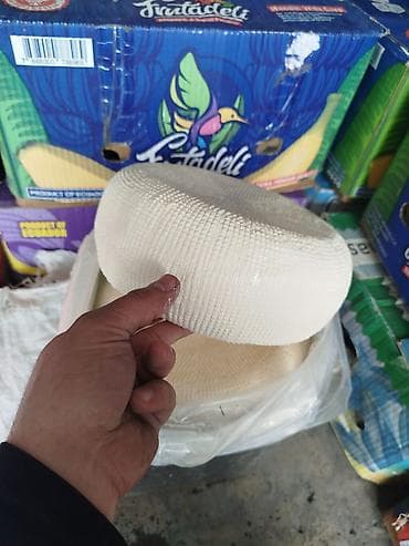 Bal: Təzə hazırlanmış kənd pendiri – dairəvi başlar şəklində — 3