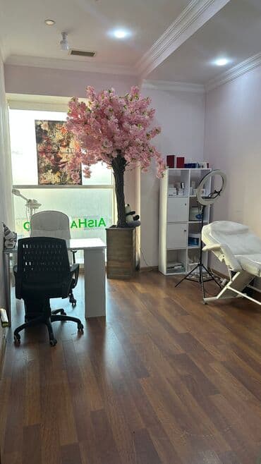 əmlak: Gözəllik salonunda 1 güzgü və otaqda kuşetka arendaya verilir — 9