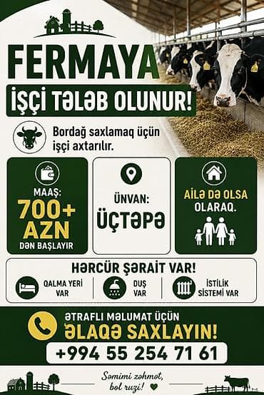 Kənd təsərrüfatı: Fermer, Kişi, 30 yaş, 5 ildən artıq təcrübə — 1