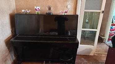 Velosiped aksesuarları: Piano, Belarus, Akustik — 3