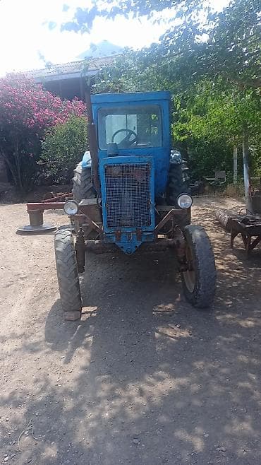 gence masinlar: Traktor Belarus (MTZ) 50, 1988 il, 80 at gücü, motor 1.2 l, İşlənmiş — 1