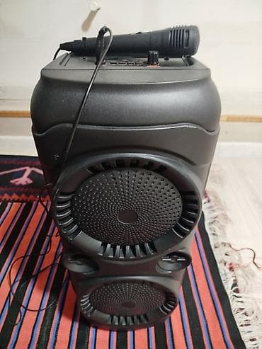 Daşınan karaoke/parti akustik sistemi - İki ədəd böyük ön dinamikli