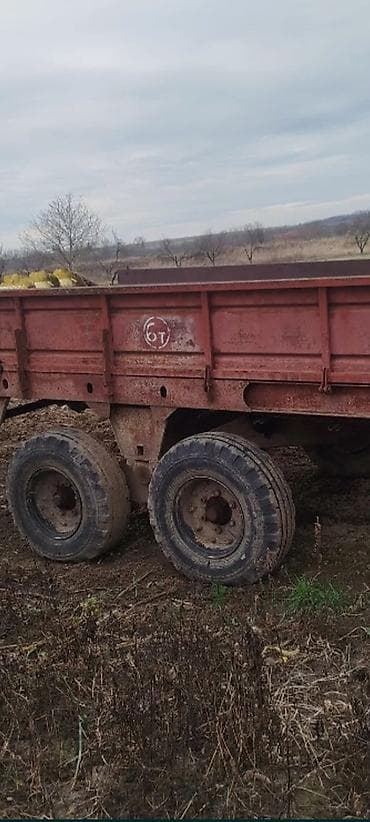 3 23 most: Lapetlər — 2