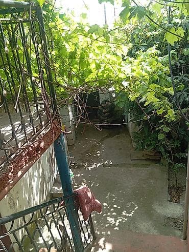 otag: 62 kv 3 otaq hokumali cume mecitin yami marwurut qapda dayanir herweyi — 9