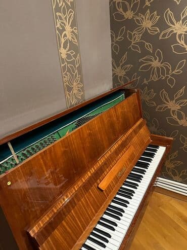 Gitaralar: Qiymet 350 tekce bir notda problem var koklemek lazimdir. Basqa bir — 2