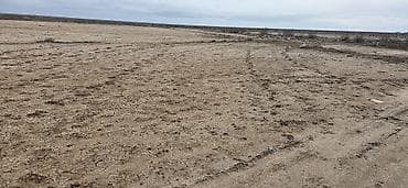 astara rayon: 12 sot, Mülkiyyətçi, Kupça (Çıxarış) — 9