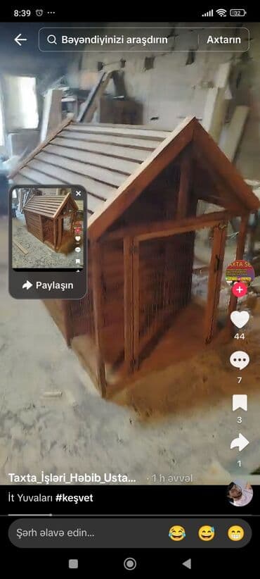 dovşan qəfəsi: It yuvaları — 4