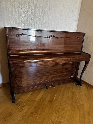 İdman və hobbi: Piano, Rönisch, Akustik — 2