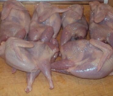 Texas sortu bildirciner . Temizlenmish ve diri shekilde toptan ve