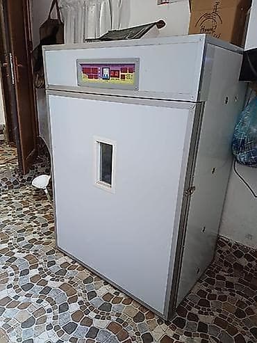 inkubator satiram: Yumurta inkubatoru və benzin generatoru dəsti - İnkubator: Rəqəmsal — 3