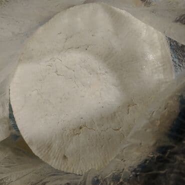 Temiz rayona gelme pendrdi