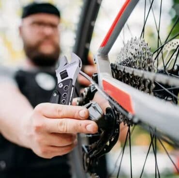 makita laqonda: Yeni Laqonda, Pulsuz çatdırılma — 14