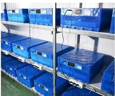 pvs aparatı: Inkubator Zavod 65 yumurtaliq, Yalniz uzerinde Expert Logosu olan — 4