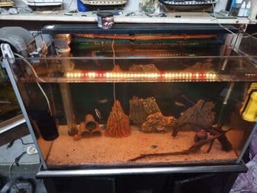 фильтр для аквариума: Akvaryum komplekti – şkaflı, sump filtrasiyalı - Şəffaf ön və yan — 11