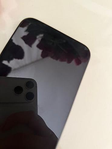 ipona: IPhone 15 Pro Max, 256 GB, Qara, Face ID — 4