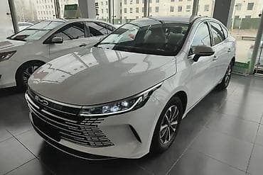 BYD Destroyer 05: 1.5 l | 2025 il 1900 km Sedan