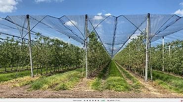 Другие инструменты: Антиградовая сетка для яблок, винограда и других культур цена — 1