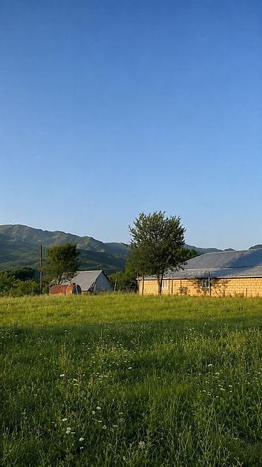 zabratda torpaq satilir: 50 sot, Mülkiyyətçi, Bələdiyyə — 8