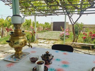 sumqayıt yaşma: 🏡 Təcili satılır: Sumqayıt – Yaşma bağlarında 3 otaqlı bağ evi (6 — 9