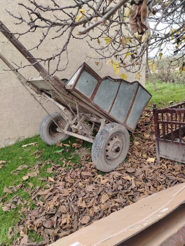 maşın üçün çexol: At arabaları — 2