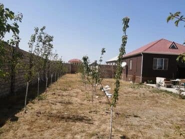 findiq ləpəsi: Qala Şüvəlan yolun üzerin de asvalt yol dan 500 metr içəridə ətraf tam — 7