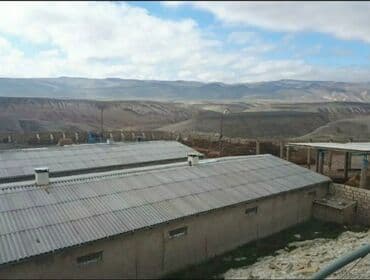 arenda donər: Ferma kompleksi – dağ mənzərəli, geniş ərazili təsərrüfat sahəsi — 1