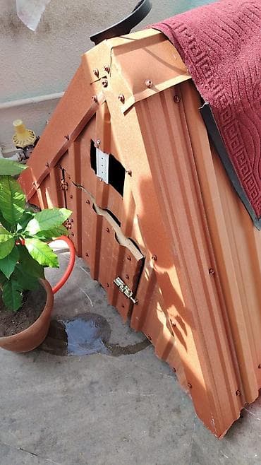 Uzunu eni 1 metr. qiyməti 50 manat. əmircanda yerləşir — 3