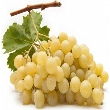 Хозтовары: Sultani uzum taniyan bilen bilir bilmeyen maraqlansin sayca az qalib — 1