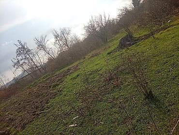 zabratda torpaq satisi: Oğuz, 100 kv. m, 3 otaqlı, Hovuzsuz, İnternet — 5