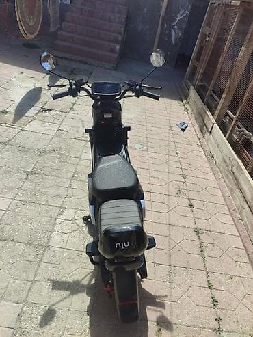 suktur: NİU 2024 il — 2