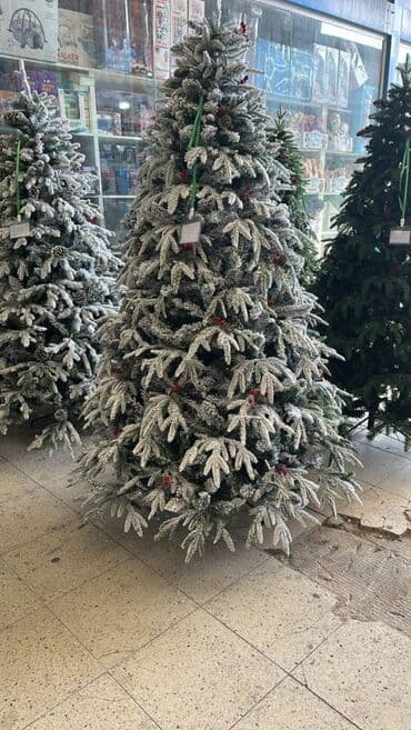 dekoratif ağaçlar: YENI IL YOLKALARI HƏR ÇÜR ÇEŞİDLƏR VAR kreditle tək şəxsiyyət — 1