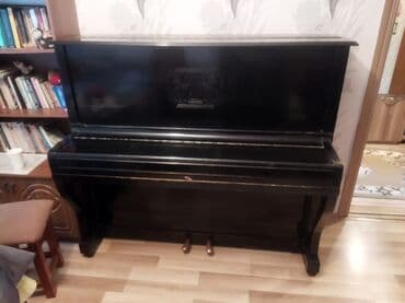 klarnet muştuk: Upright pianino – klassik dizayn, qara rəngli korpus. Xüsusiyyətlər — 1