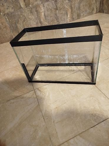 Аквариумы: Bu şəkildəki akvarium satılır temperatur ölcəni var. daşları var — 1