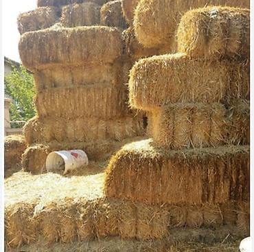 Məhsul: Preslənmiş saman balyaları Təsvir: - Təbii, günəşdə