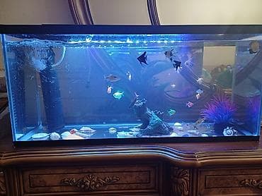 akvaryum satış: Boş, 30 l, Ödənişli çatdırılma — 4