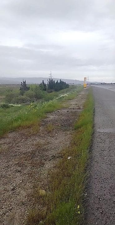 zirədə torpaq: 337 sot, Biznes üçün, Mülkiyyətçi, Kupça (Çıxarış) — 1