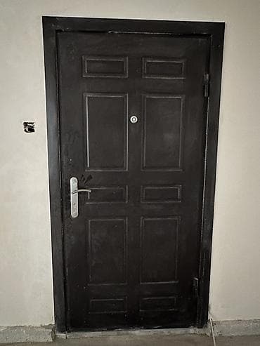 demir pillekenler: Dəmir qapı – giriş üçün İçi penaplasnan obşıfka oljnub yaxşı — 2