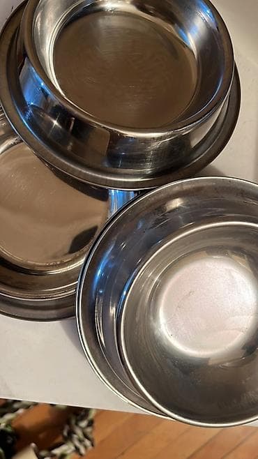 su maymunu: Paslanmayan poladdan heyvan yemək qabları dəsti — 1