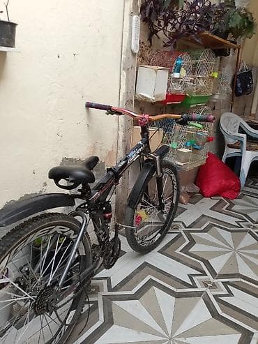 28 velik: Məhsul: Dağ velosipedi - Qiymət: 110 AZN (şəkildə göstərilib) - — 7