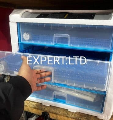 Paketləmə aparatları: 600 yumurta, Çin, Fabrik istehsalı, Tam avtomat, Bütün növ quşlaq üçün — 3