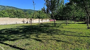 bildircin satisi tap az: Oğuz rayonu Muxas kəndində Bir tərəfi kubiklə hasarlanmış 12 sot — 6
