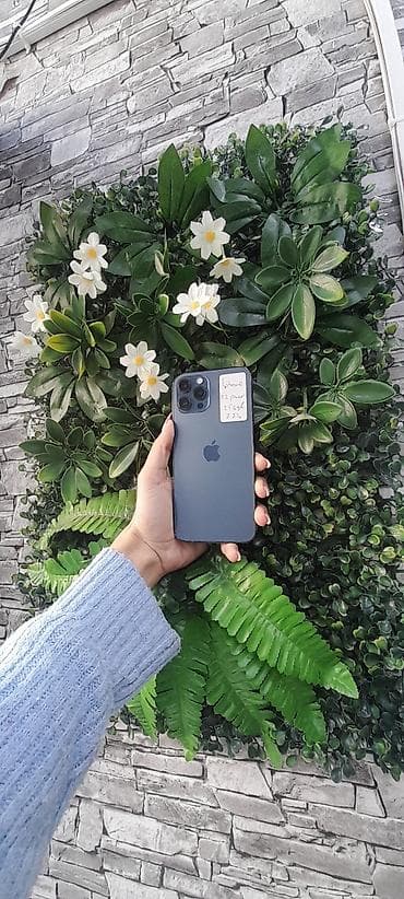 iphone 7 plus satilir: IPhone 12 Pro Max, 256 GB, Göy, Face ID — 1