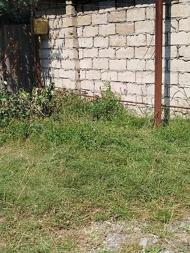 12 sot, Tikinti, Mülkiyyətçi, Kupça (Çıxarış) — 10