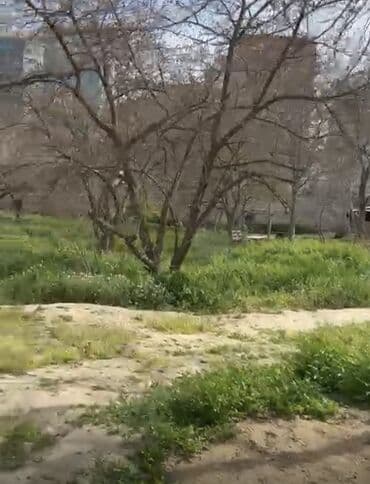 yeni əmlak az: 24 sot, Tikinti, Mülkiyyətçi, Kupça (Çıxarış) — 9