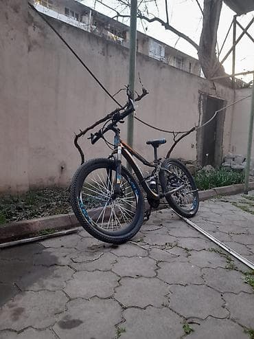 yol velosipedi: Dağ/tur velosipedi – 26 düym təkər Xüsusiyyətlər: - Gücləndirilmiş — 2