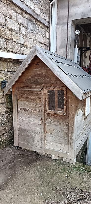 Собаки: Taxta quşxana / quş yuvası - Material: tamamilə taxtadan yığılıb — 3