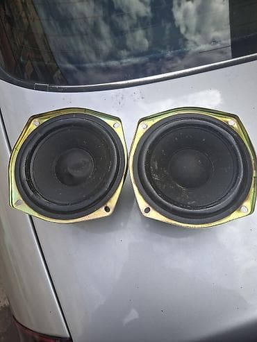 Kolonka, Növ - Akustik