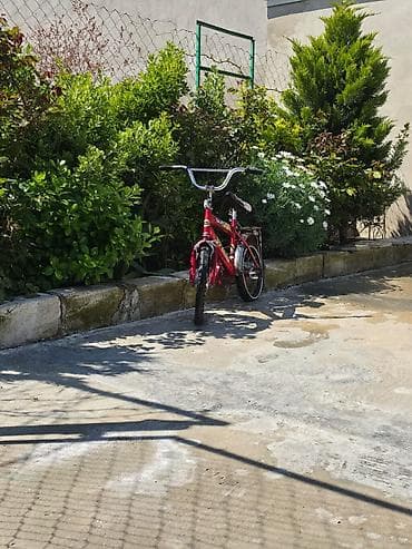 Uşaq velosipedi – 16" təkərli, şəhər və həyət sürüşləri üçün - Rəng