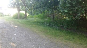 xacmazda findiq bagi satilir: 8 sot, Kupça (Çıxarış) — 4